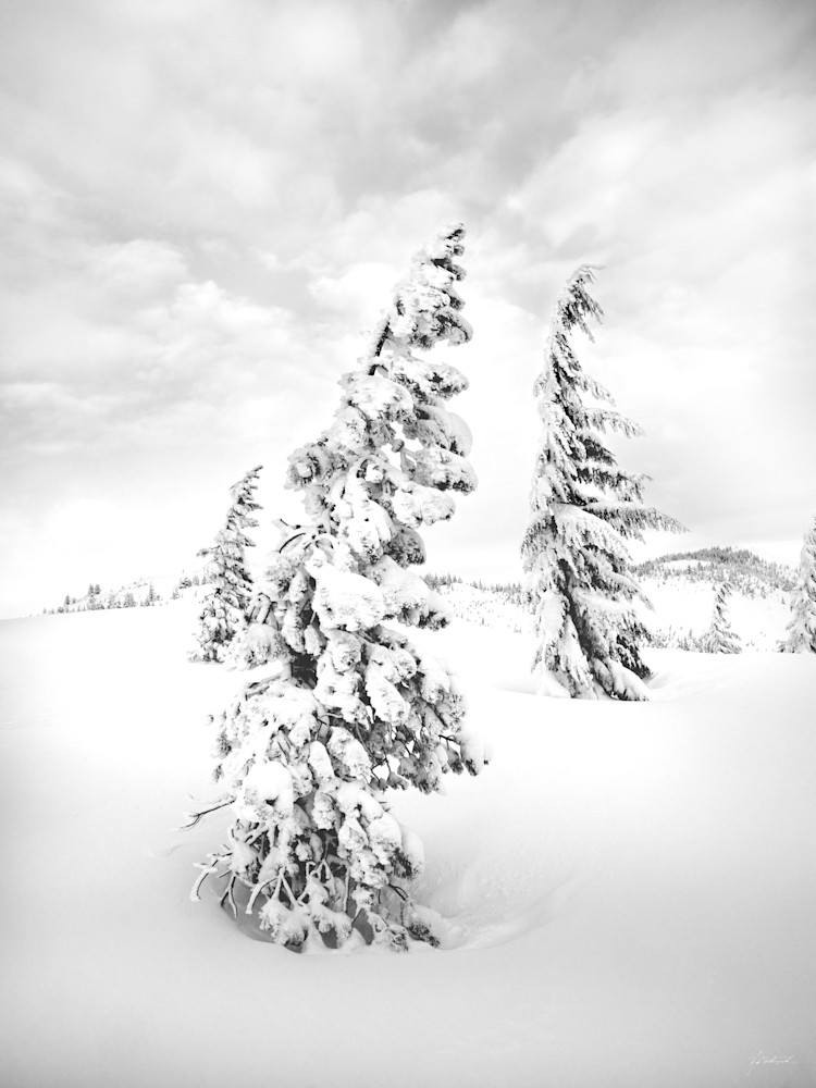 Winter |  St. Joe National Forest