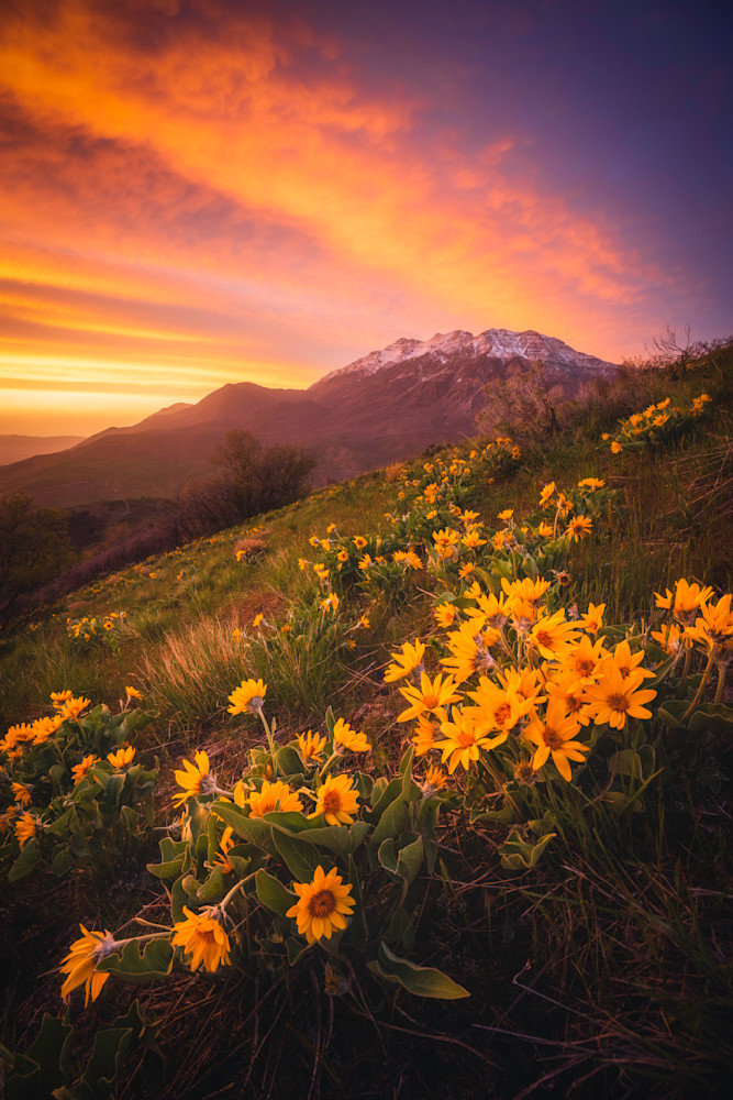 An Evening's Praise Photography Art | Rich Vintage Photography