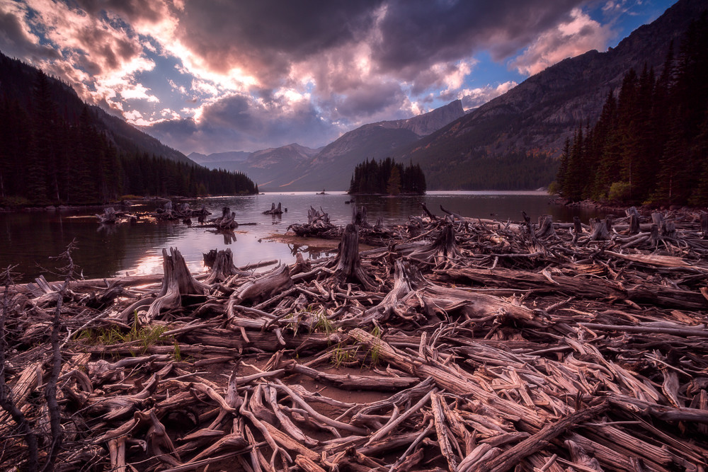 Mystic Log Jam