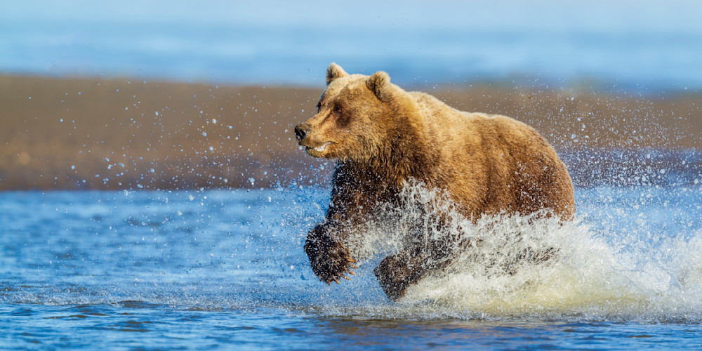 "The Chase" Photography Art | D. Robert Franz Photography