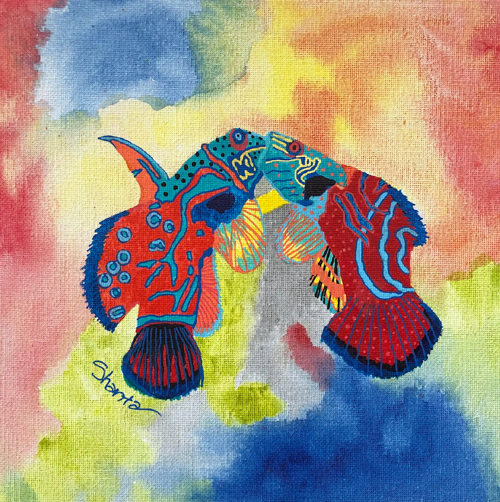 Mandarin Fish Art | Shanta Louise Art