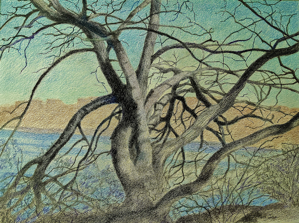 The Haunting Mysterious Tree Of Inwood Park Waters Art | lencicio
