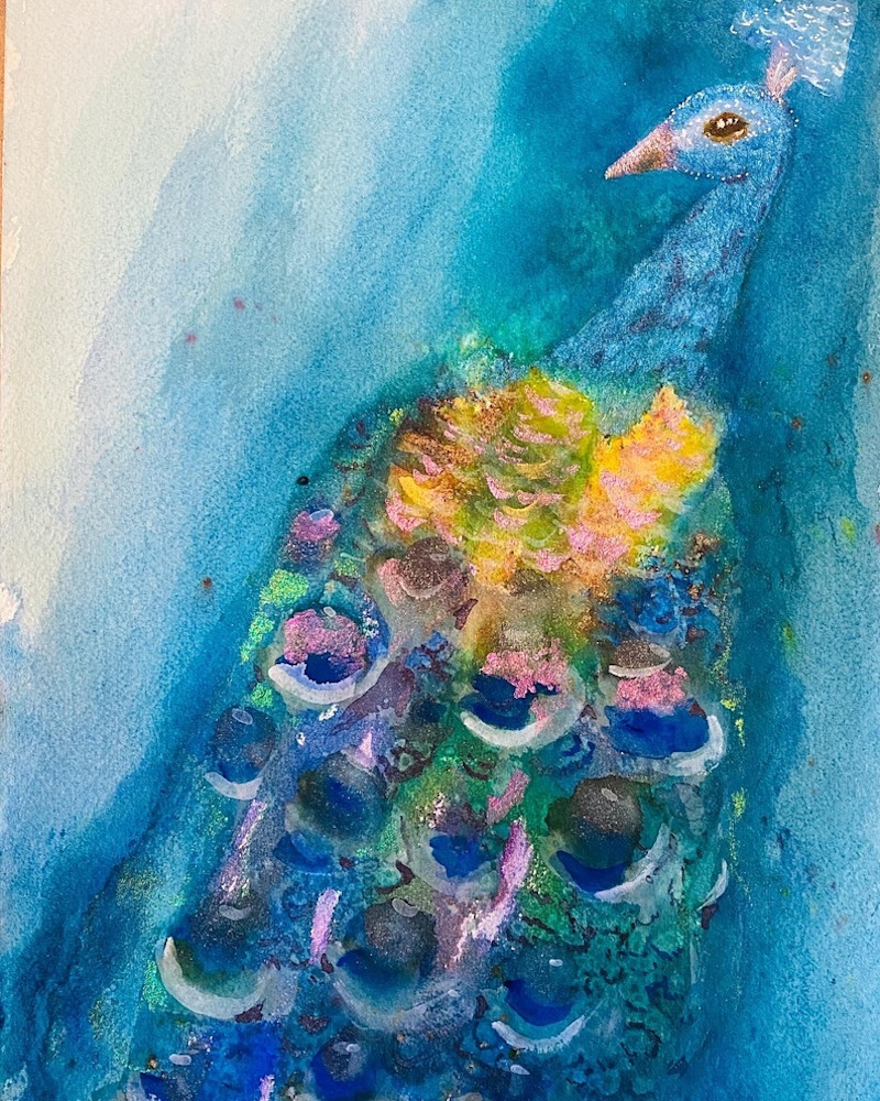 Favorite Peacock Art | Tammy Koolbeck