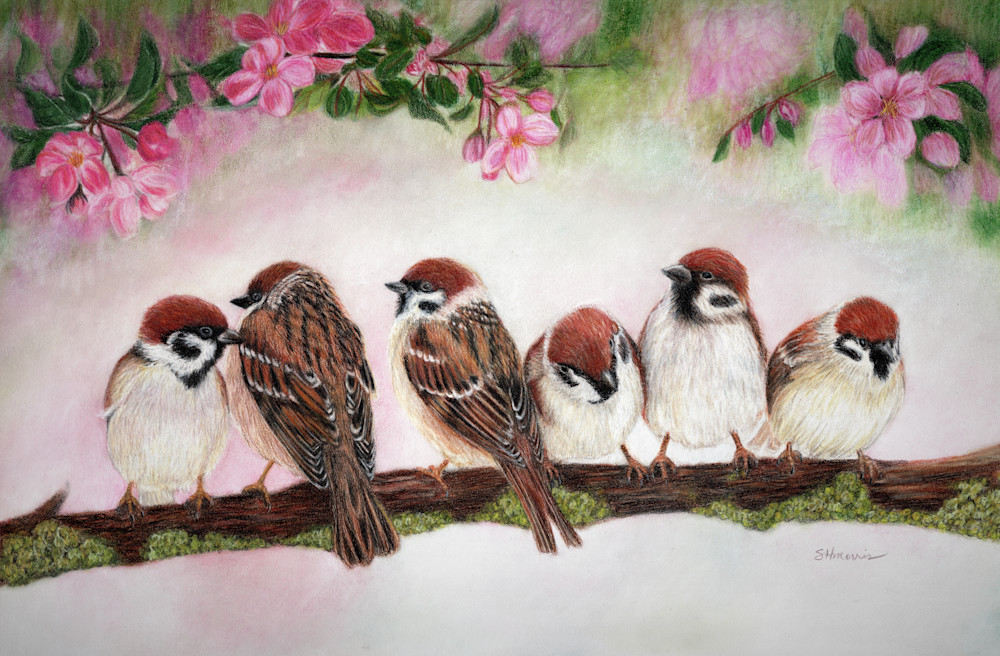 Spring Sparrows Art | SH Morris Art