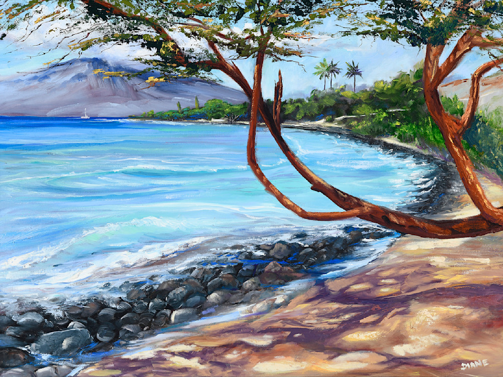 Olowalu Shore Art | Lahaina Arts Society
