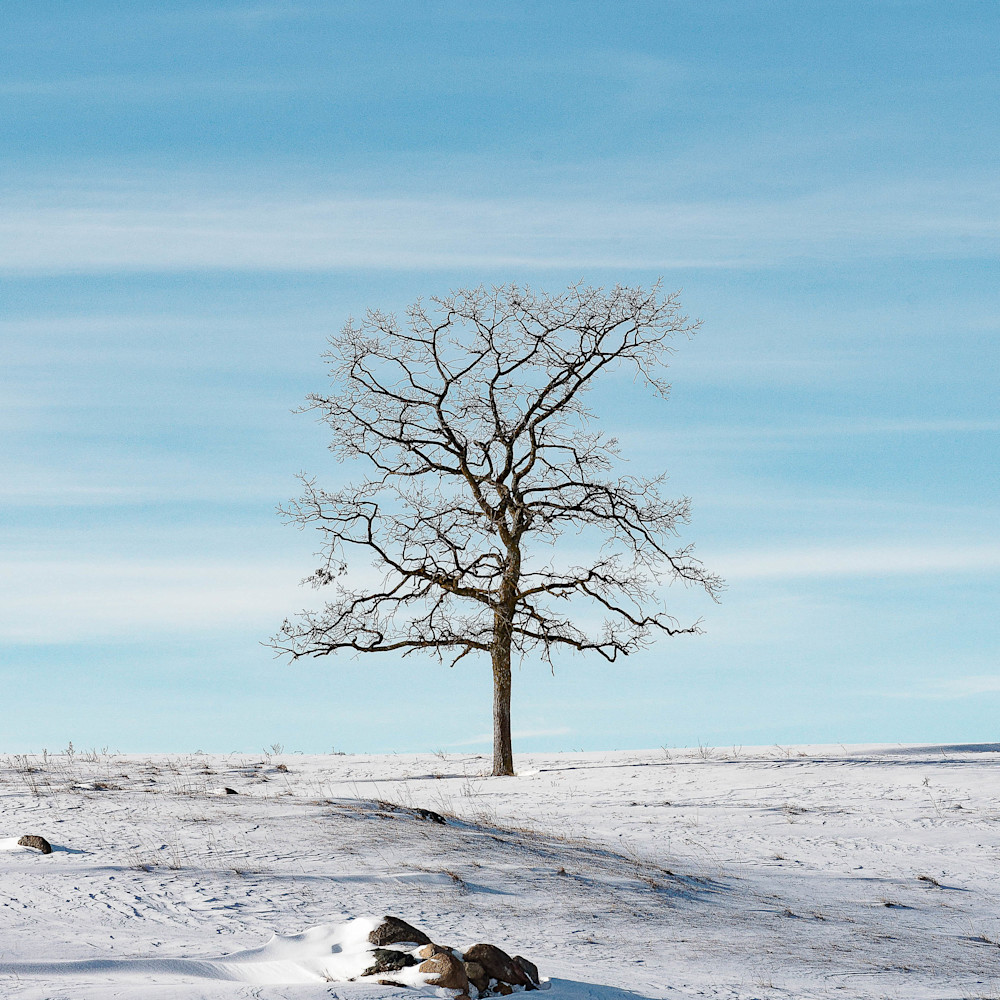 Solitude Blue Sky Winter