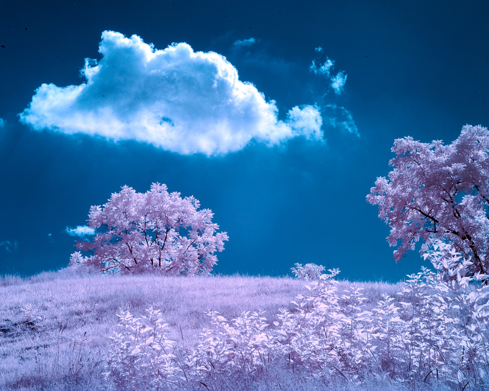 Looking Uphill In Infrared Photography Art | Jim Rendos Photography