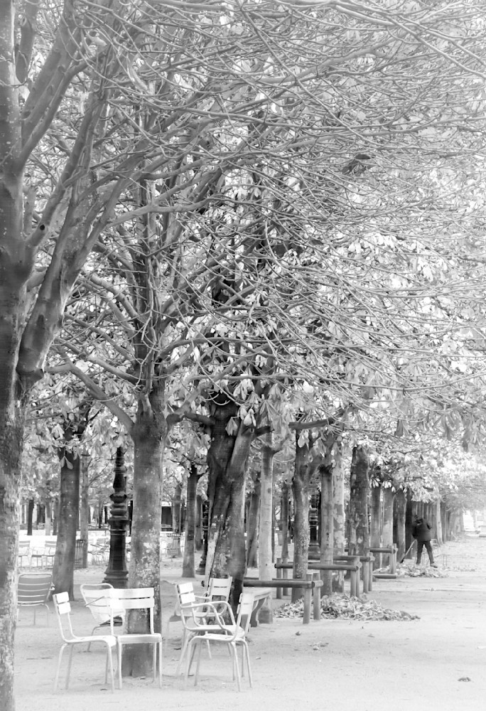Paris Jardins des Tuileries Sweeping Up Leaves