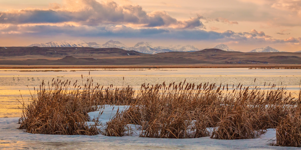 "Spring's Awakening: Sunrise Over An Icy Marsh In Montana's Front Range" Photography Art | D. Robert Franz Photography