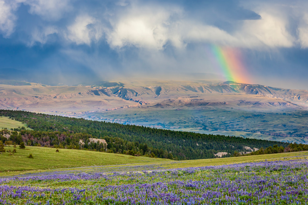 "Rainbow Symphony: Nature's Dramatic Overture In The Bighorn Mountains" Photography Art | D. Robert Franz Photography