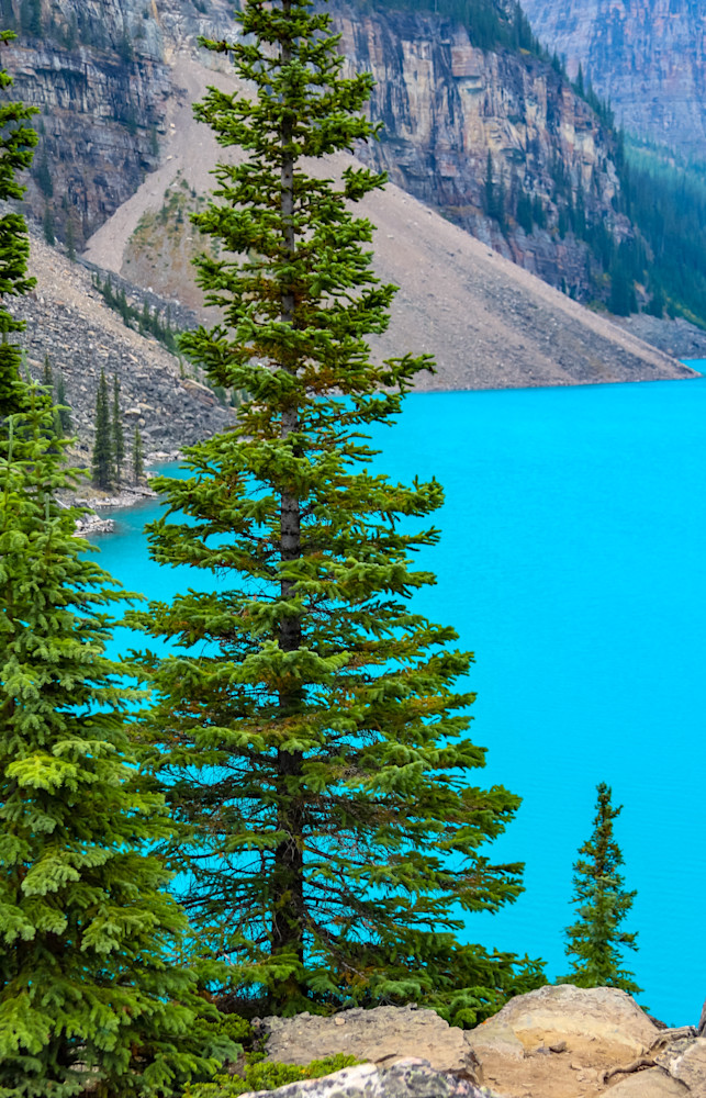 Moraine Lake   Banff National Park   Alberta Canada Photography Art | Collections by Carol