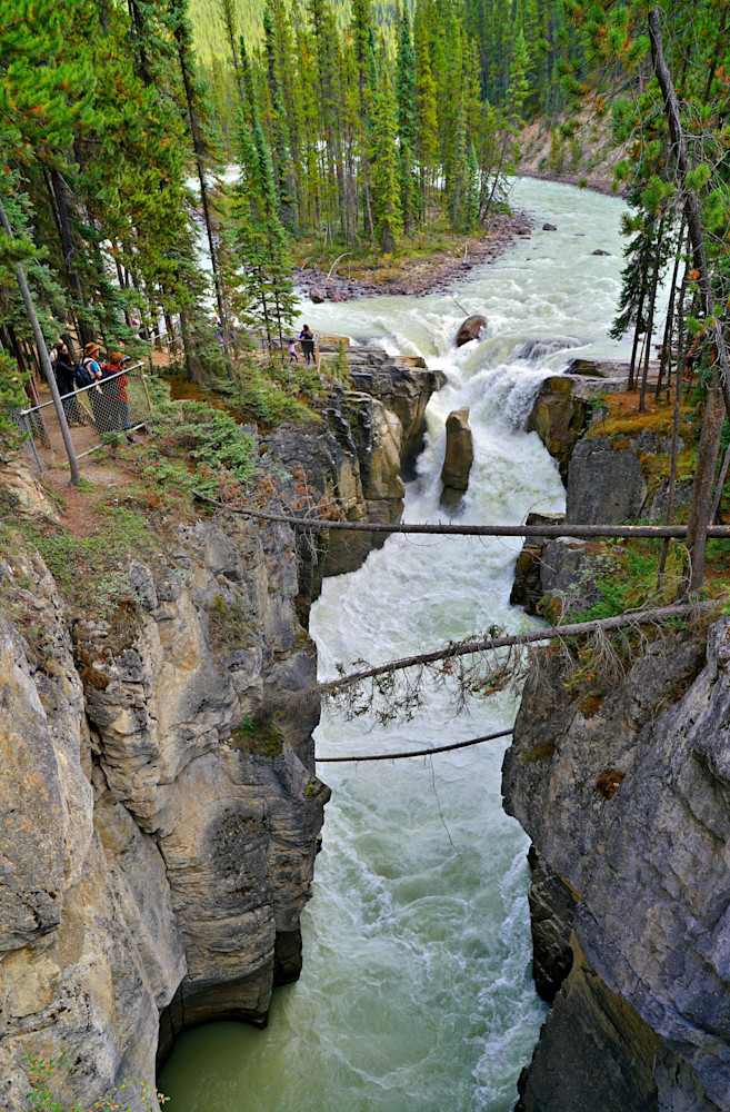 Sunwapta Falls   Jasper National Park, Alberta, Canada Photography Art | Collections by Carol