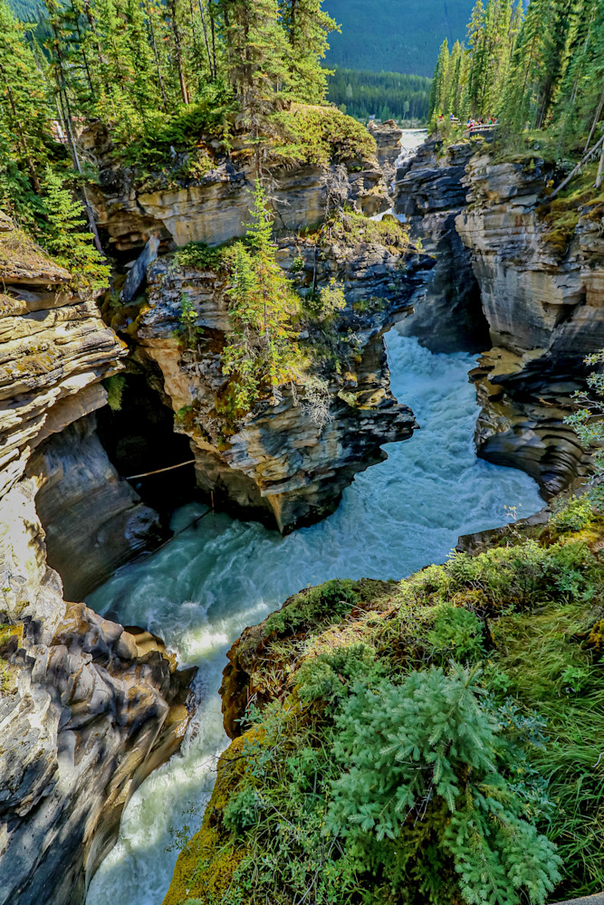 Maligne Canyon   Jasper National Park   Alberta Canada  Photography Art | Collections by Carol
