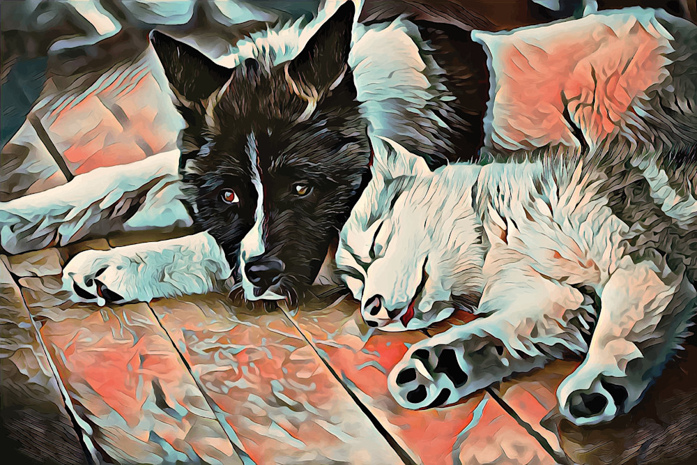 Two Huskies