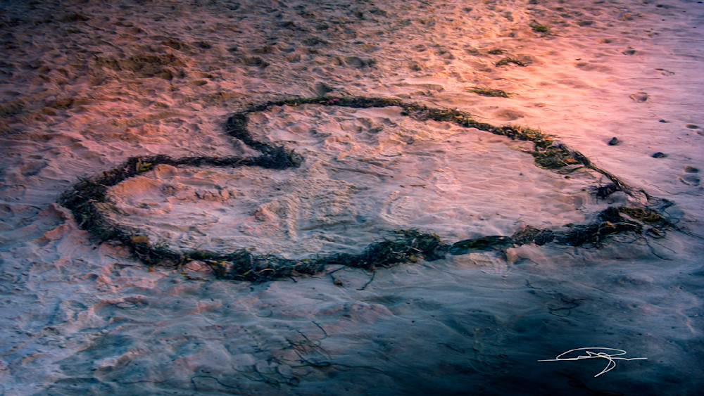 Heart In The Sand Photography Art | Audrey Nilsen Studios