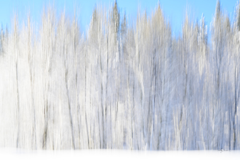 Abstract Winter Aspen Feathers I Photography Art | Niobe Burden Fine Art Photography