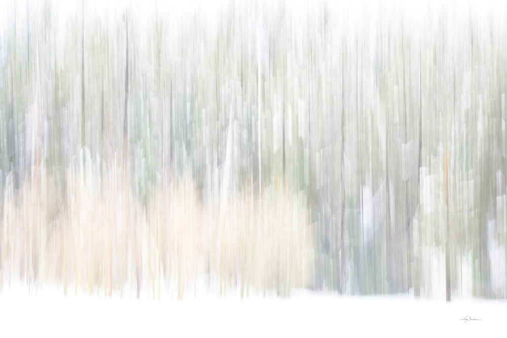 Abstract Trees in Winter Meadow