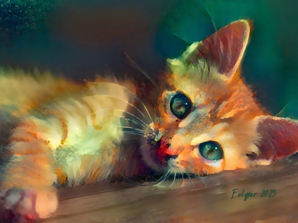 Joey Cat Art | Jacob Folger Artist