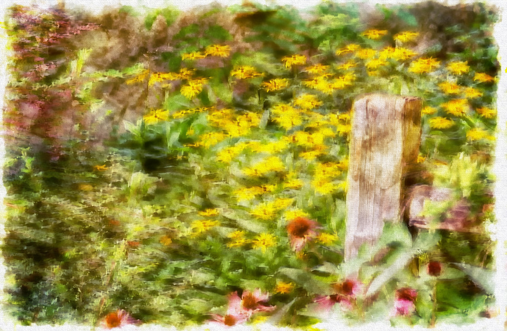 Field Of Flowers Photography Art | Audrey Nilsen Studios