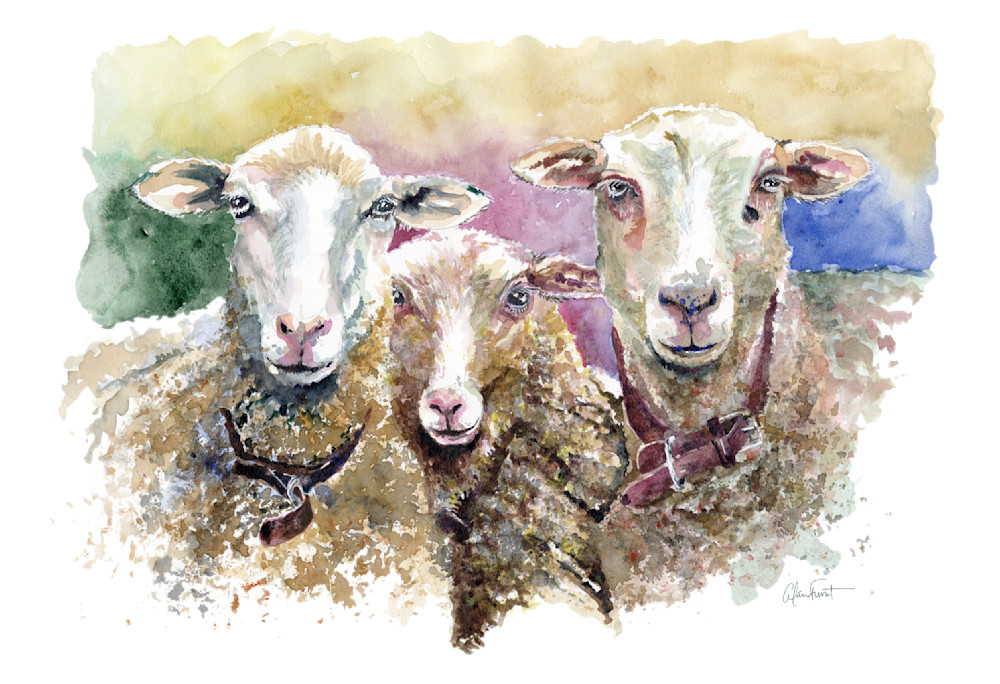 Thee Sheep Art Print