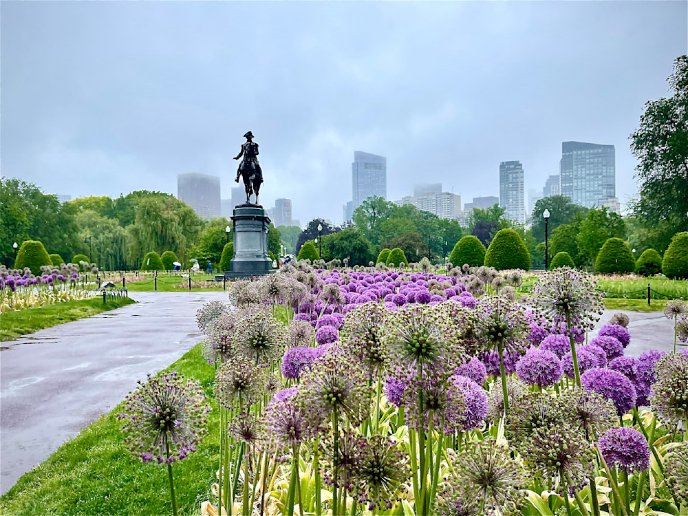 Purple Spring In Boston Garden Photography Art | ZaZaCreative Photography