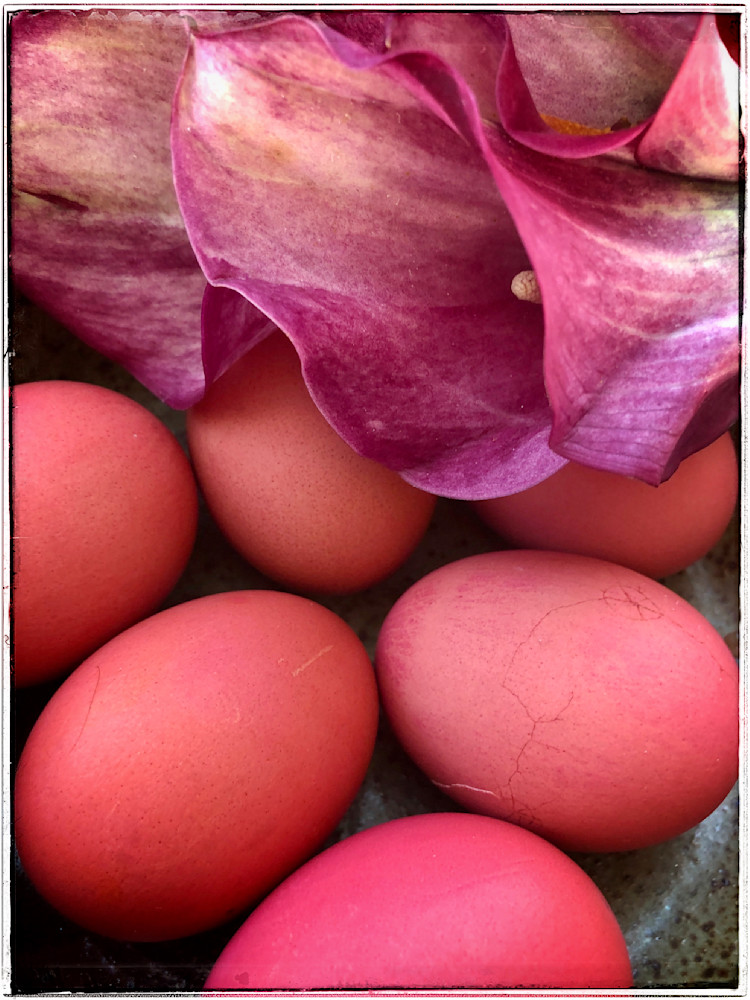 Rose Colored Eggs With Calla Lily Photography Art | ZaZaCreative Photography