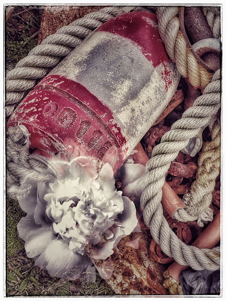 Buoy, Rope And Flower In Hull Photography Art | ZaZaCreative Photography