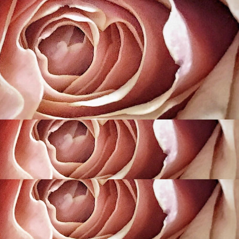 Multiples In Pink Photography Art | ZaZaCreative Photography