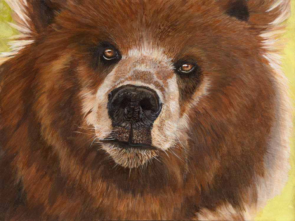 Grizzly Bear Cub Art | Alexandra Saunders Fine Art