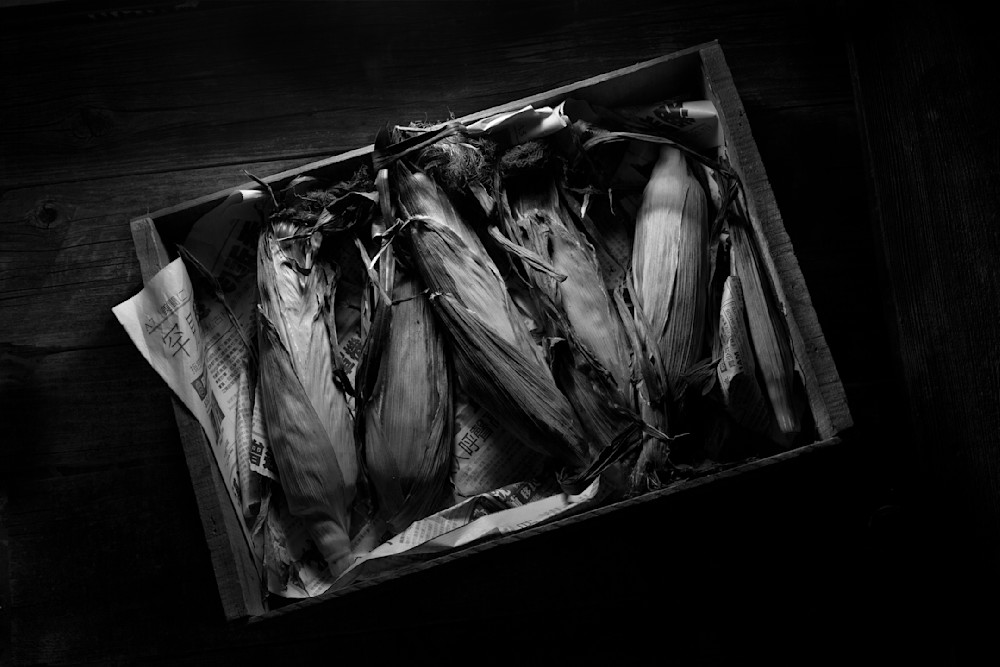 Maize Photography Art | terryhankins