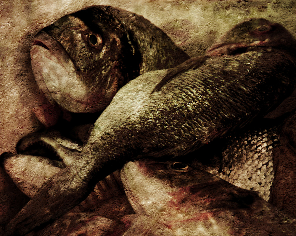 The Fish Market Photography Art | terryhankins