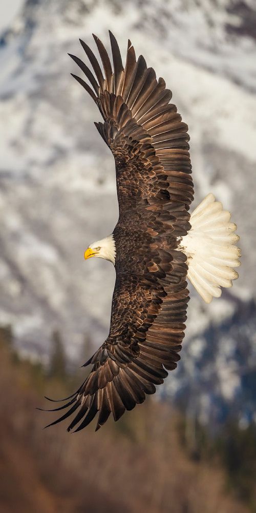 Hard Bank Photography Art | D. Robert Franz Photography