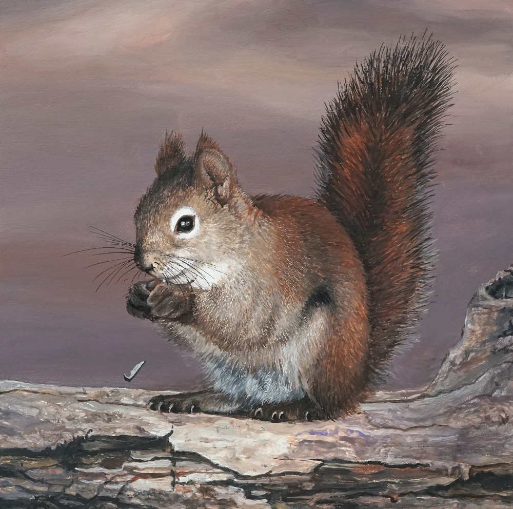 Laara Cassells | Shop Wildlife Painting Sunflower Snack Grey Squirrel original artwork