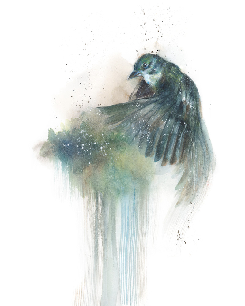 Bird fairy watercolor painting