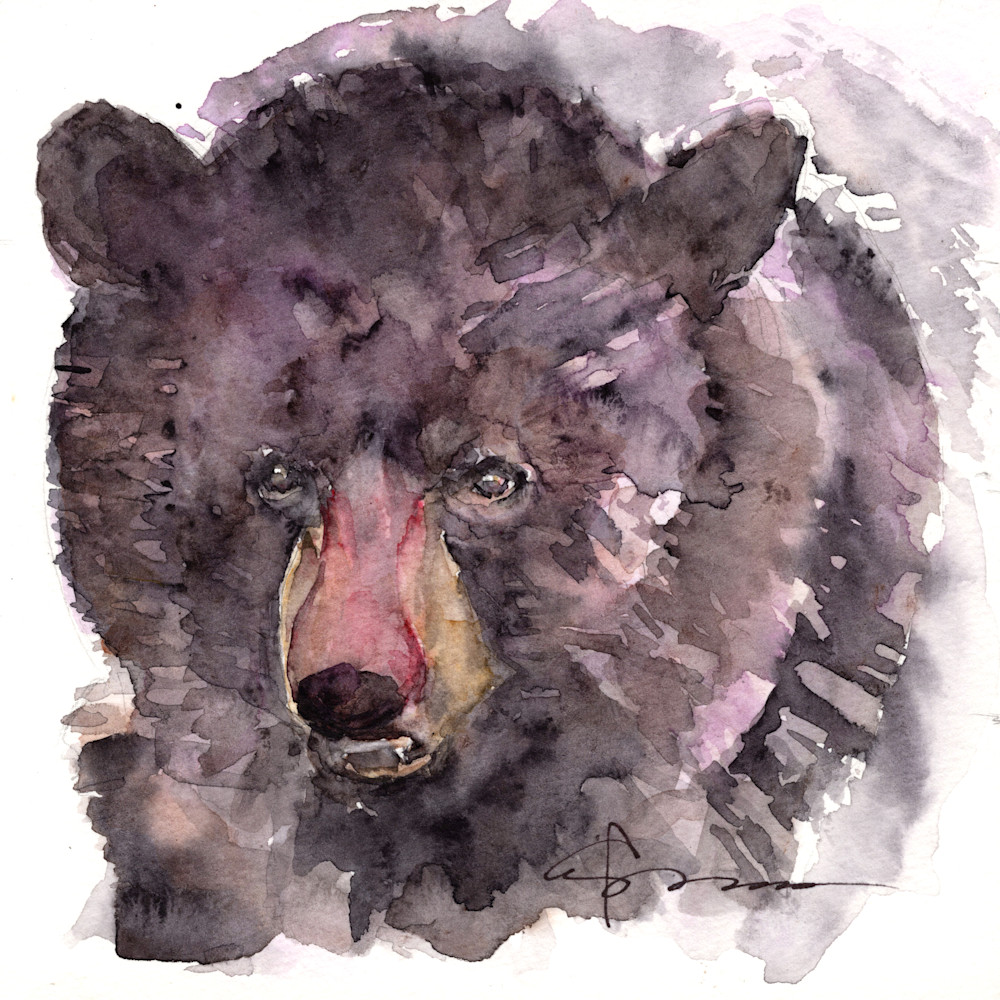 Bear Watercolor Print  | Claudia Hafner Watercolor