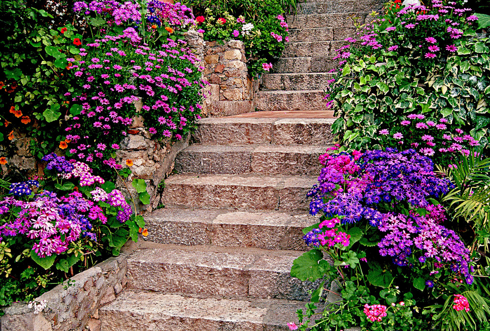 Italy Taormina Floral Lined Steps Purple 8325 Photography Art | Christina Rudman Photography