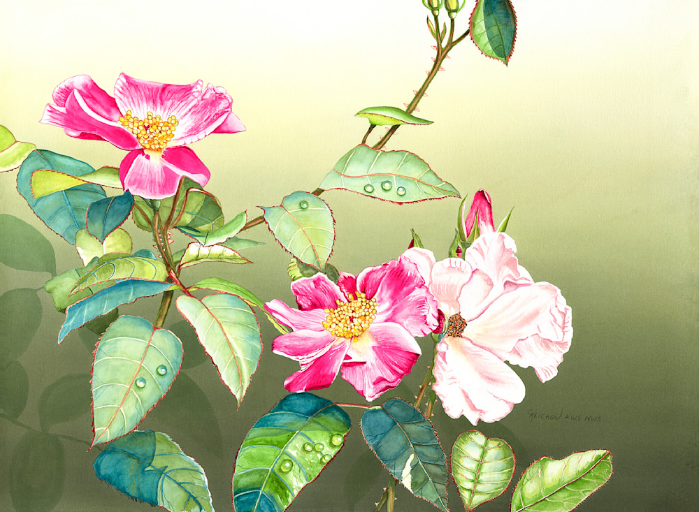 Wild Roses Art | Christine Reichow Inc.