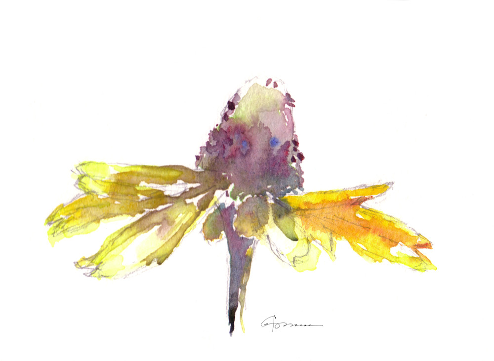 Yellow Coneflower 2 Watercolor Print | Claudia Hafner Watercolor