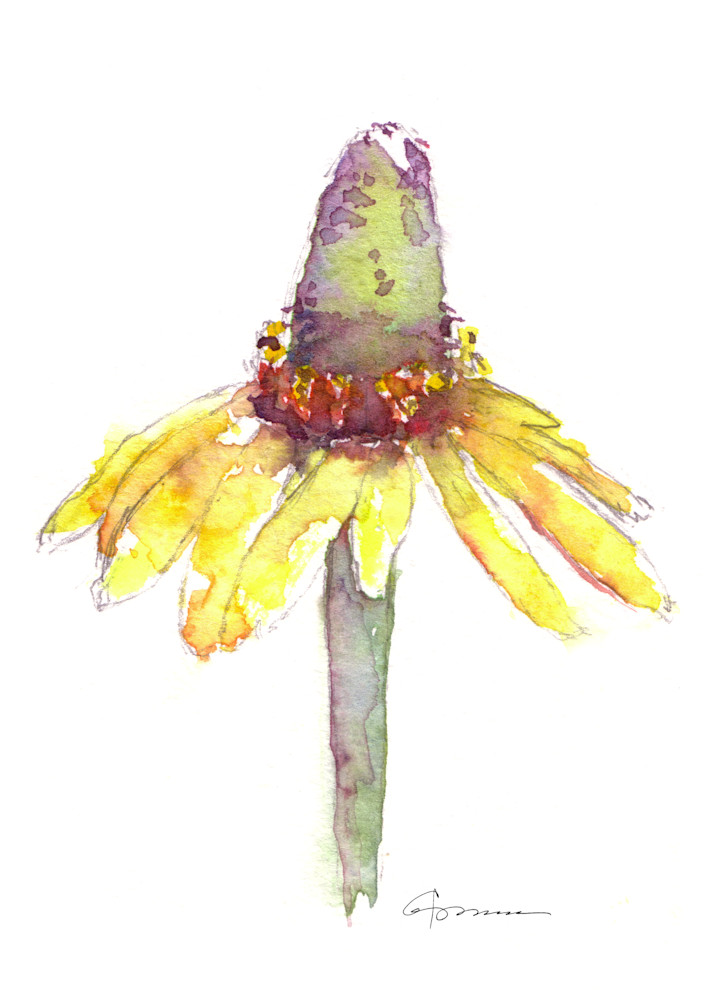 Yellow ConeflowerWatercolor Print | Claudia Hafner Watercolor