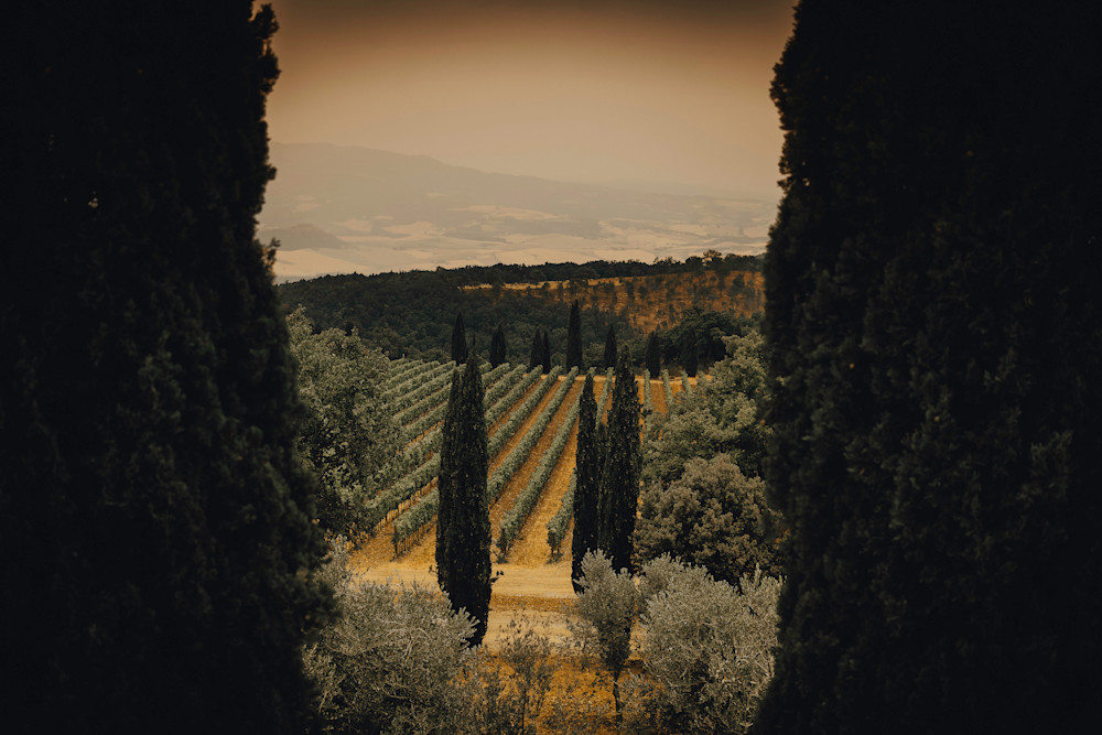 Tuscany Countryside Photography Art | Joel Witte Photography