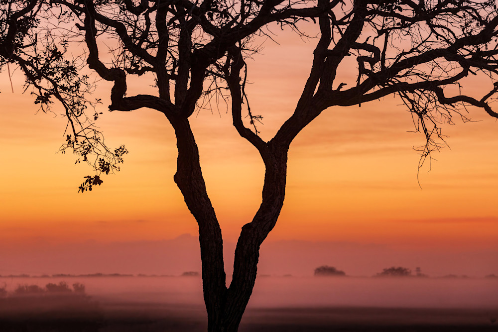 "South Texas Sunrise" Photography Art | D. Robert Franz Photography