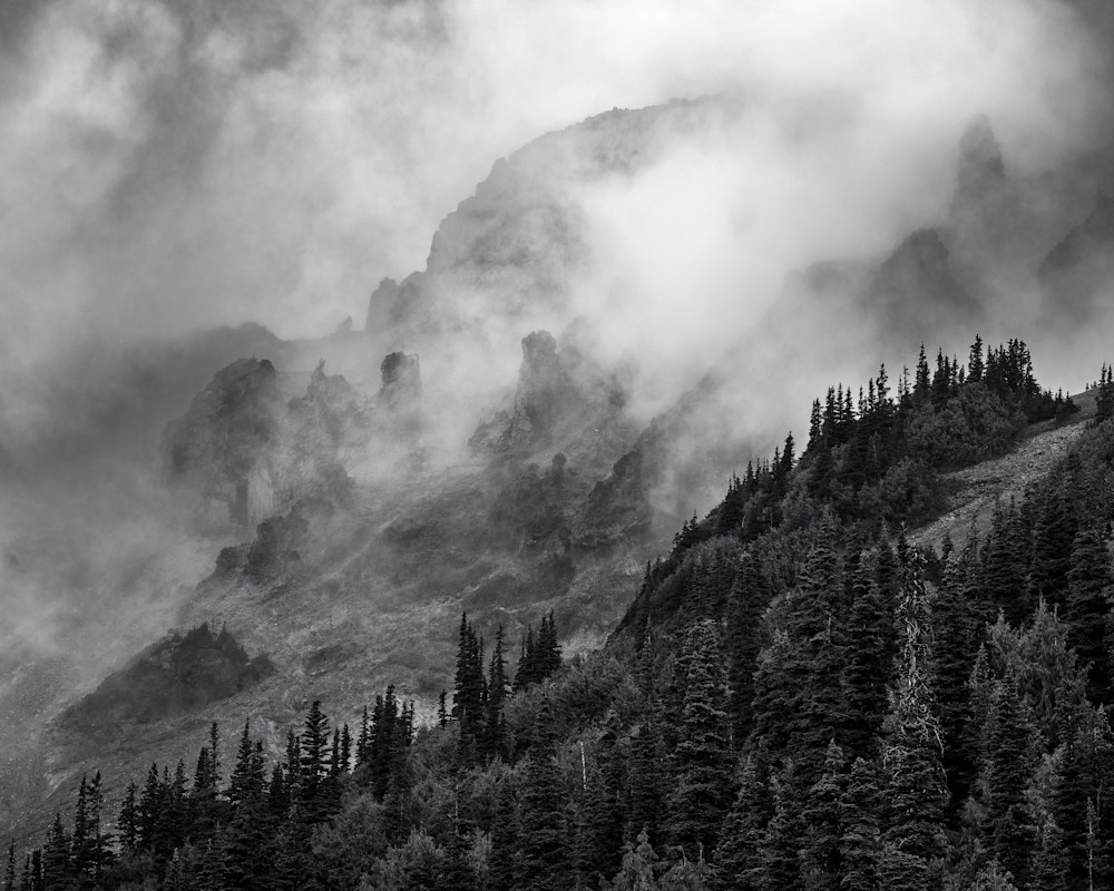 Amidst the Mist, Mt Rainier National Park, Washington, 2022