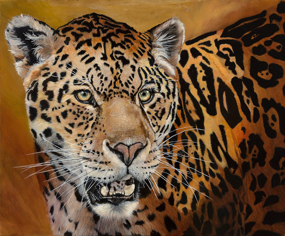 Ginger, Jaguar Art | Alexandra Saunders Fine Art