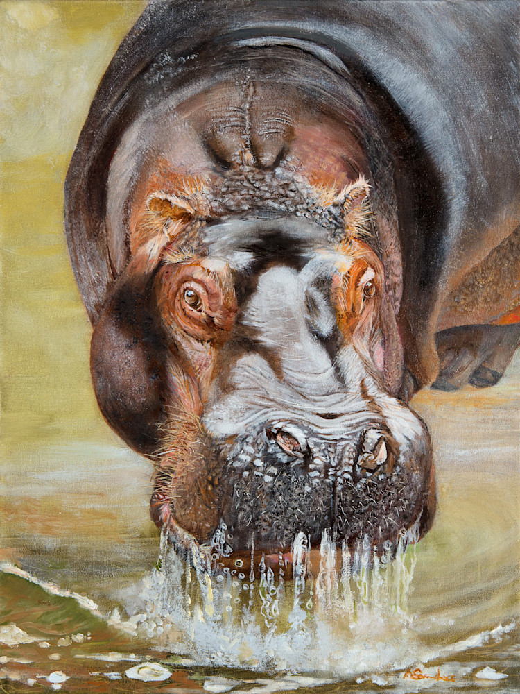 A Hippo Named Stevie Art | Alexandra Saunders Fine Art