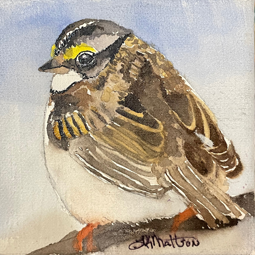  Winter Sparrow Art | lynneamattson