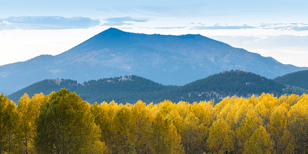Blue Light Over Yellow Aspen Photography Art | Spry Gallery