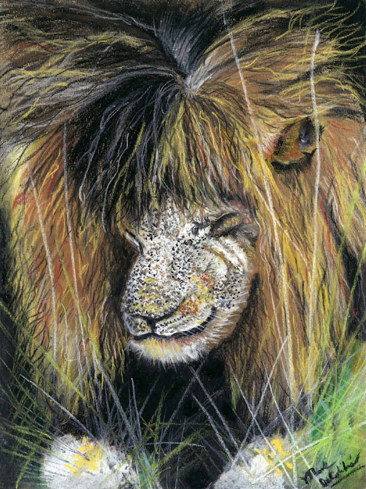 The Lion Sleeps Tonight Art | Lahaina Arts Society