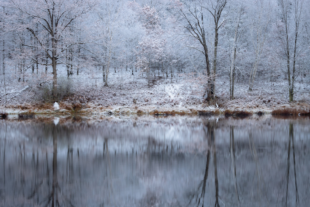 Winter Reflections Photography Art | Spry Gallery