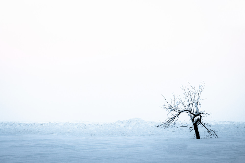 Icy Sunrise Photography Art | Spry Gallery
