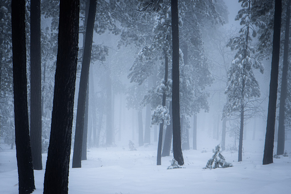 Mogollon Winter Photography Art | Spry Gallery